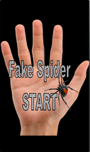 Fake Spider Fun