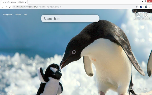 Penguin Wallpaper HD Penguins New Tab Themes