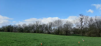 terrain à Coulans-sur-Gée (72)