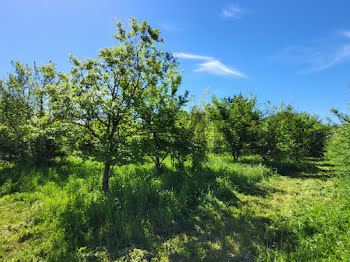 terrain à Uzès (30)