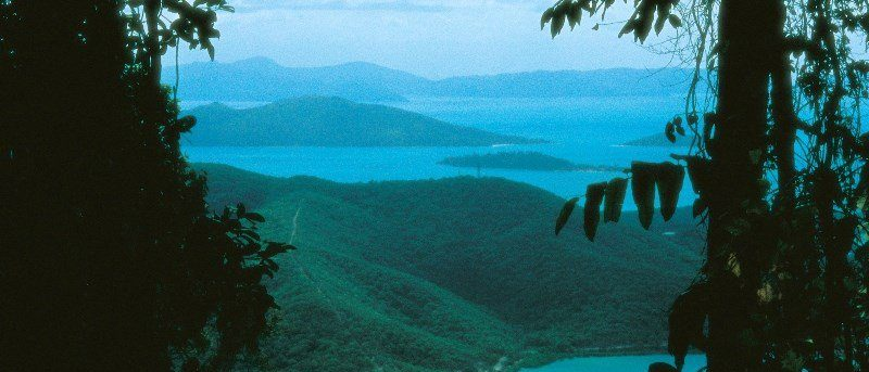 Mount Rooper Track- Conway National Park, Qld