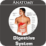 Digestive System icon