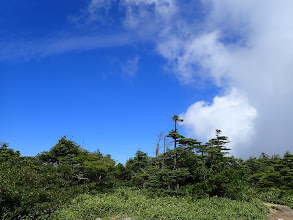 湧き上がる雲