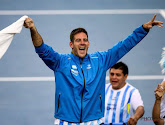 Del Potro loodste Argentinië naar winst in Davis Cup... mét een gebroken vinger! 