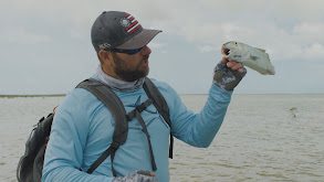 Acklins Island Bonefish thumbnail