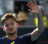 Goffin kent geen moeite met opslagkanon Karlovic en staat in de achtste finales