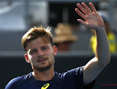 Goffin zwoegt zich in drie sets voorbije onbekende Moldaviër