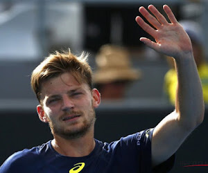 Goffin kent geen moeite met opslagkanon Karlovic en staat in de achtste finales