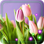 Cover Image of Download Tulips Spring 1.3 APK