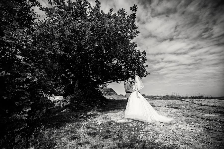 Fotógrafo de casamento Aleksey Aleynikov (aleinikov). Foto de 13 de fevereiro 2019