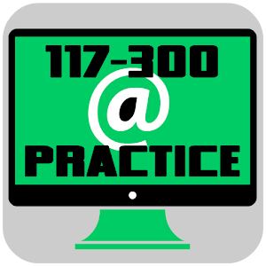 117-300 Practice Exam