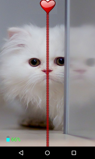 Kitten Zipper Screen Lock