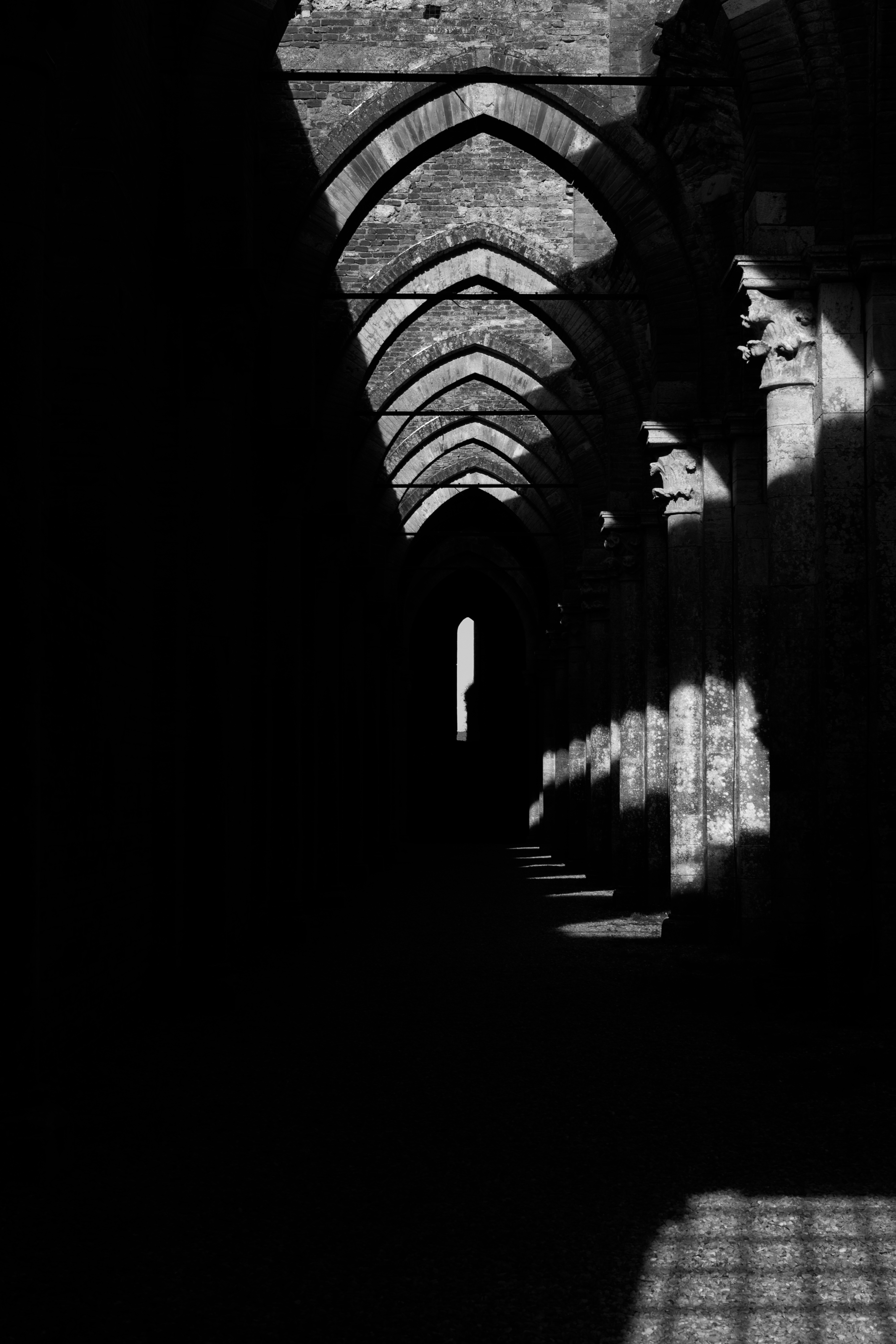 light and shadow di cinzia_