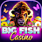 Big Fish Casino - Slots Games icon