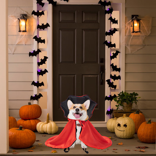 Title 5, Halloween Atmosphere Cloak for Pets Costume for...