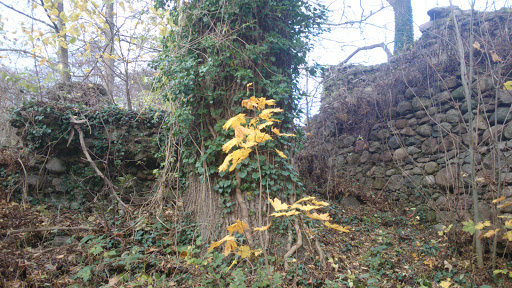 Alte Turmruine in Mesendorf