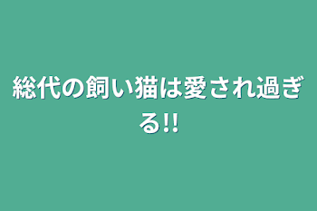 総代の飼い猫は愛され過ぎる!!