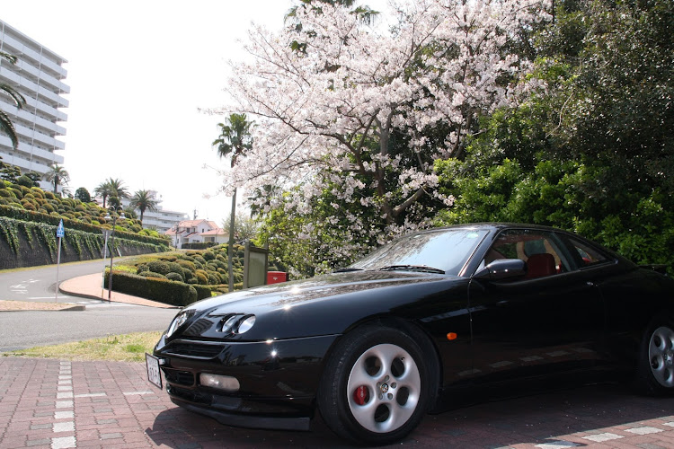 GTVの新しい愛車・チッタナポリ・知多半島・桜に関するカスタム事例の投稿画像7枚目