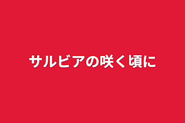 サルビアの咲く頃に