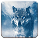 Lone Wolf Chrome extension download