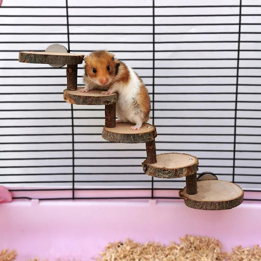 3/5 Layers Parrot Cage Accessories Hamster Wooden Ladder Toy Pets Climbing Stairs Bird Supplies Perches Stand Juguete L