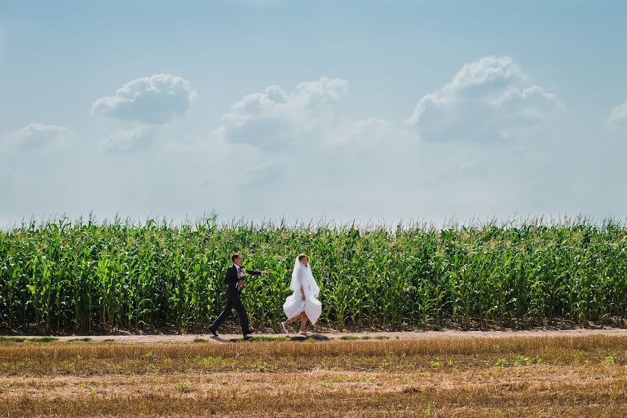 Fotógrafo de casamento Yuliya Yanovich (zhak). Foto de 25 de agosto 2017