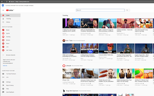 Youtube Search Focus