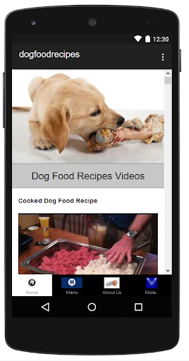 Natural Dog Food Recipes