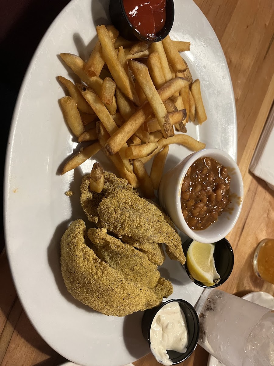 Catfish and fries