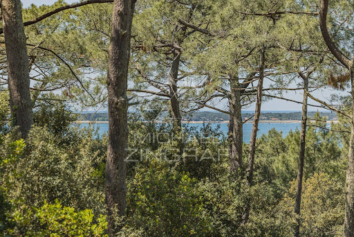 Sea view through pine trees in this luxury house for sale in Pyla sur mer ($2,916,991 - 136 m²)