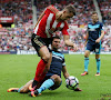 La tuile pour Januzaj !