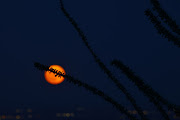 A super moon, known as the Blue Moon, rises above Ciudad Juarez, Mexico August 30, 2023. 