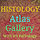 Download Histology Atlas Pro 2020 For PC Windows and Mac 3.9.0.1.36