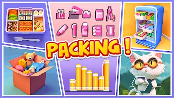 Home Packing-Organizing games Screenshot