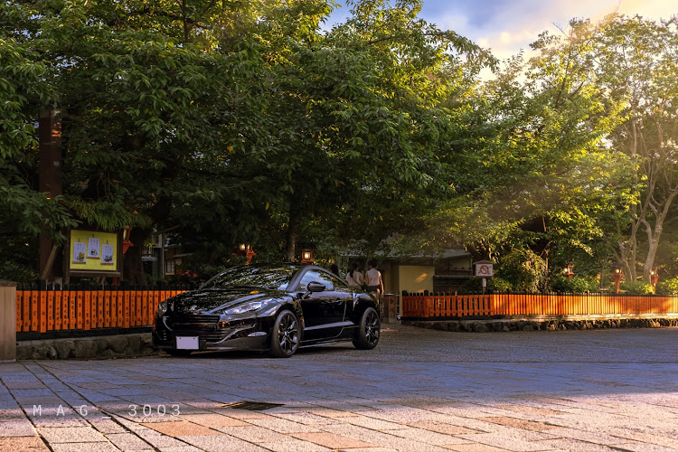 RCZのどて煮さんが投稿したカスタム事例の投稿画像14枚目