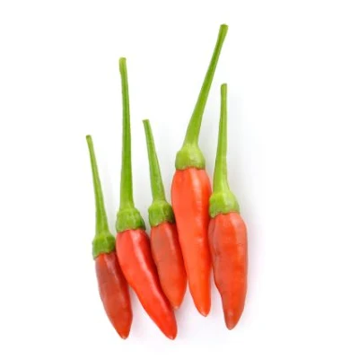 Bud Chilli Red - Exotic - 150 gm