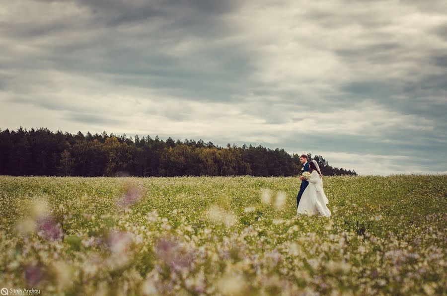 婚礼摄影师Andrey Sitnik（sitnikphoto）。2013 10月1日的照片