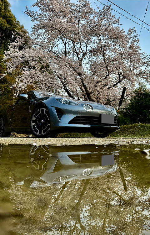 アルピーヌのA110のある生活・サクラと愛車・またまたカメ活に関するカスタム事例の投稿画像3枚目
