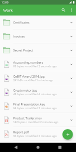 Cryptomator v1.5.7 Paid APK 5