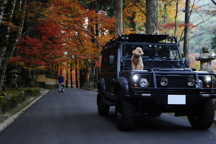 HSの仏通寺紅葉に関するカスタム事例の投稿画像3枚目