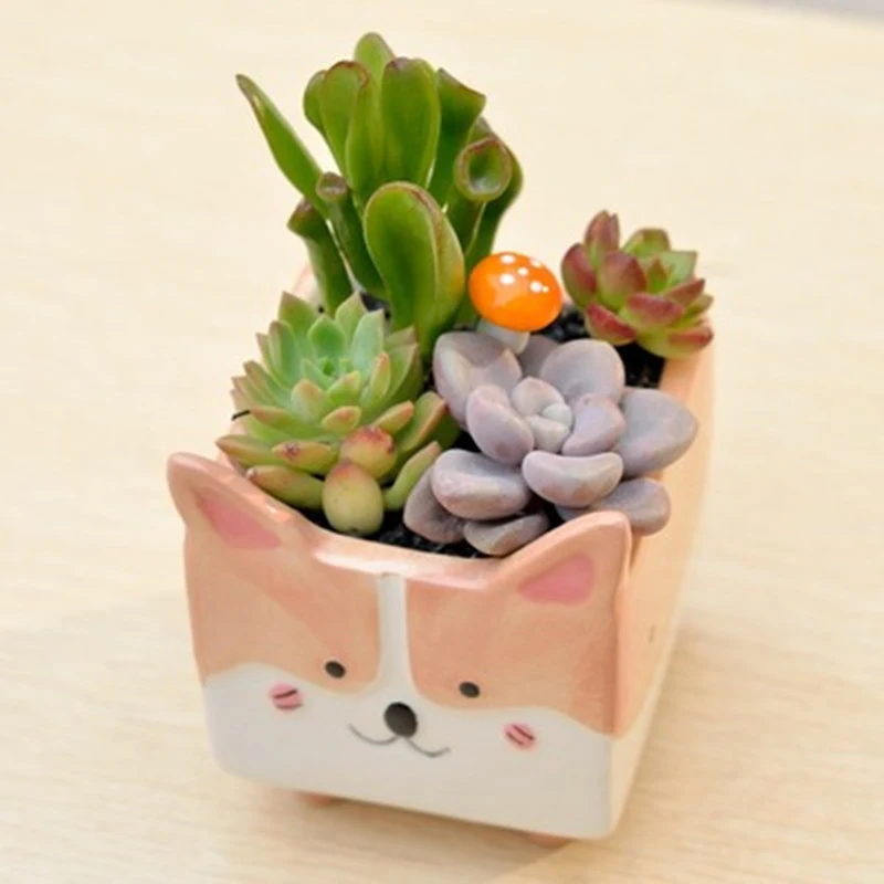 Title 1, Play Gardening keramička saksija za cveće i bil...