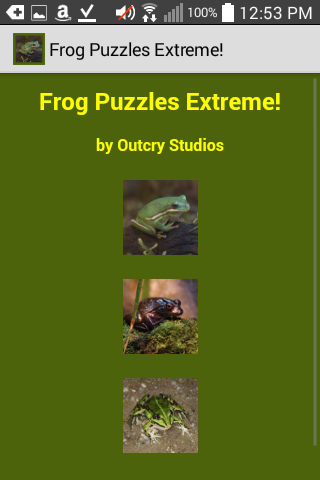 Frog Puzzles Extreme