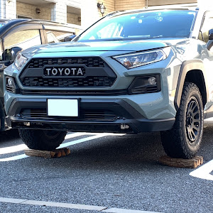 RAV4 MXAA54