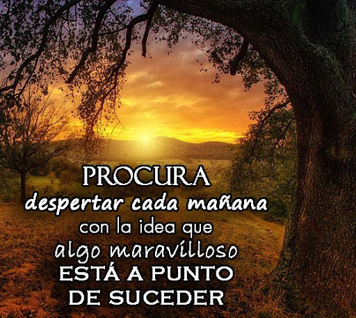 Updated Reflexiones Positivas Para Ti Pc Android App Mod Download 21