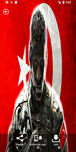 Yerli ve Milli Resimler