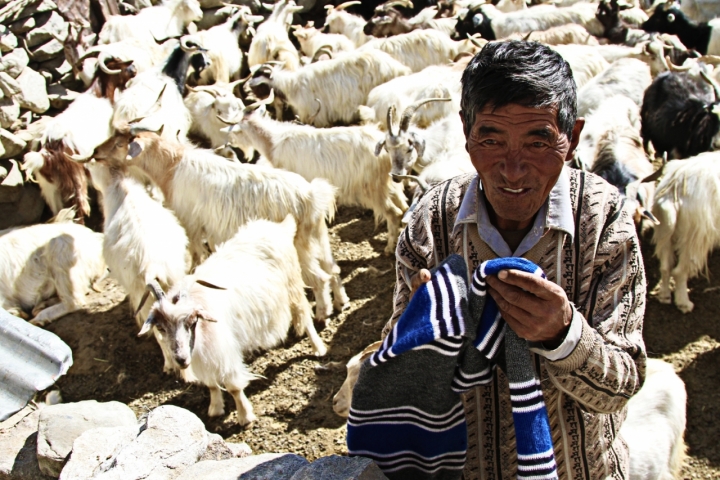 Pastore Himalayano di David Marrone