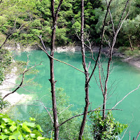 50 sfumature di verde di 