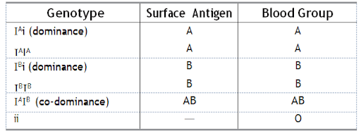 Solution Image