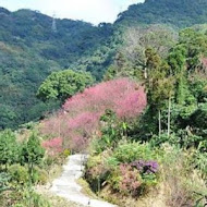 花岩山林花園餐廳