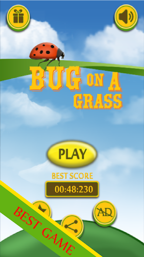 Bug on Grass